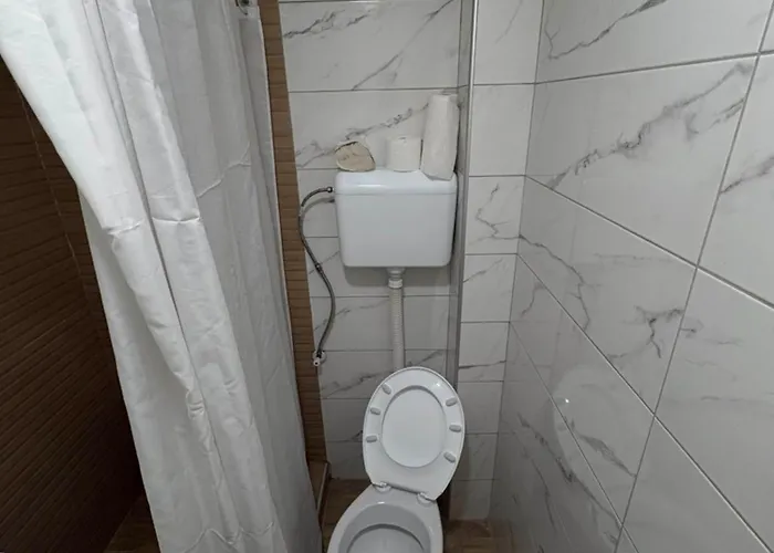 Daire Ika 1n Kraljevo